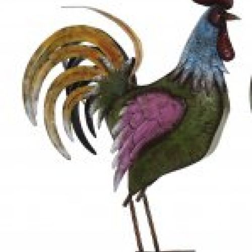 gallo